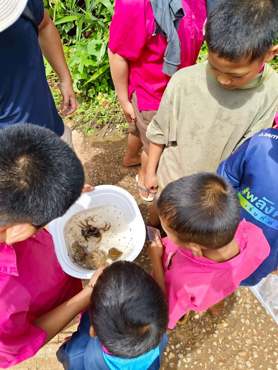 ภาพกิจกรรมเพิ่มเติม