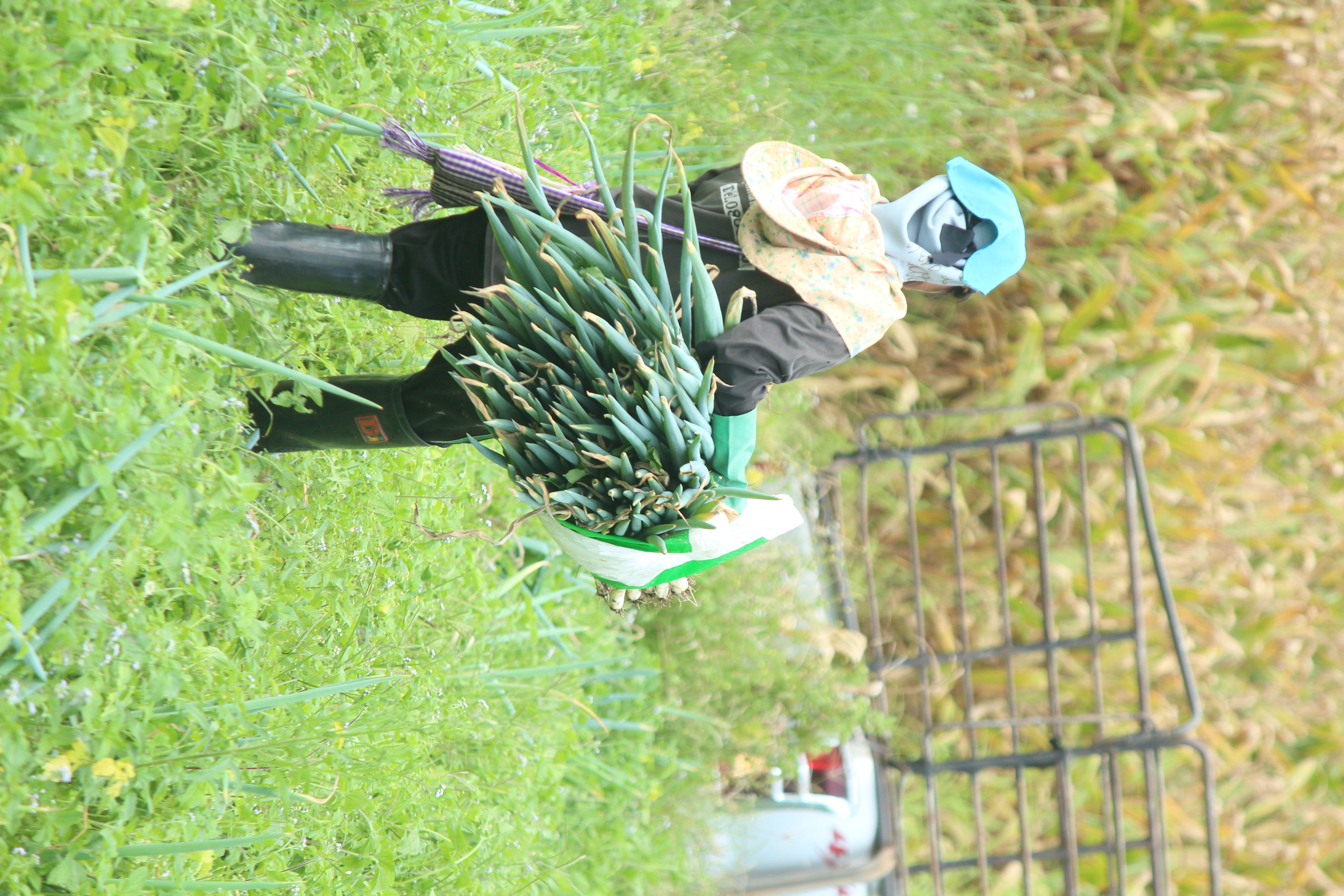 ภาพกิจกรรมเพิ่มเติม