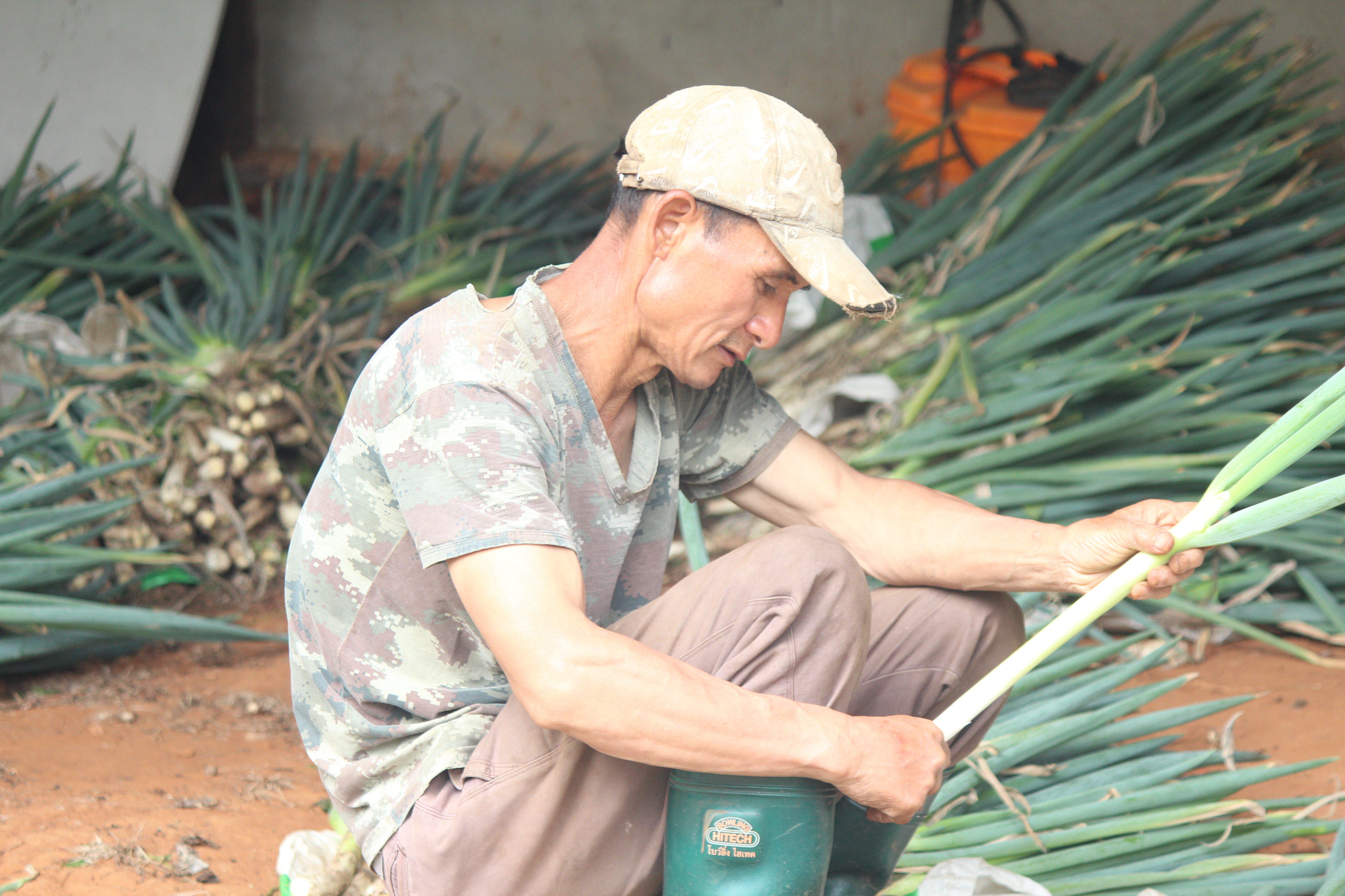 ภาพกิจกรรมเพิ่มเติม