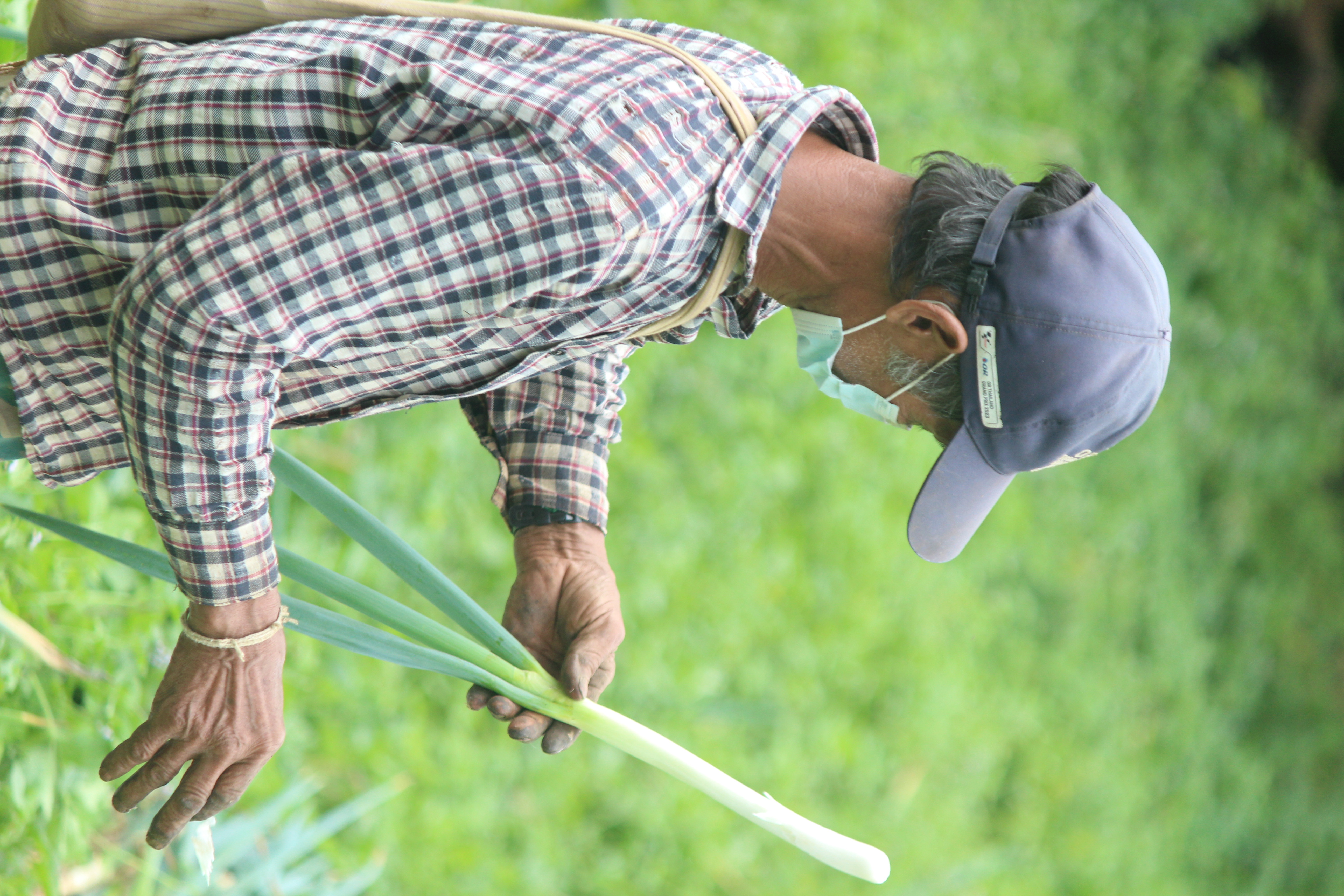 ภาพกิจกรรมเพิ่มเติม